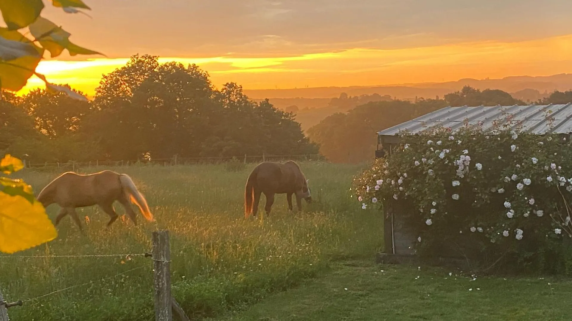 Apartamento Logement Entier De Charme, Gite Equestre Gers Flamarens