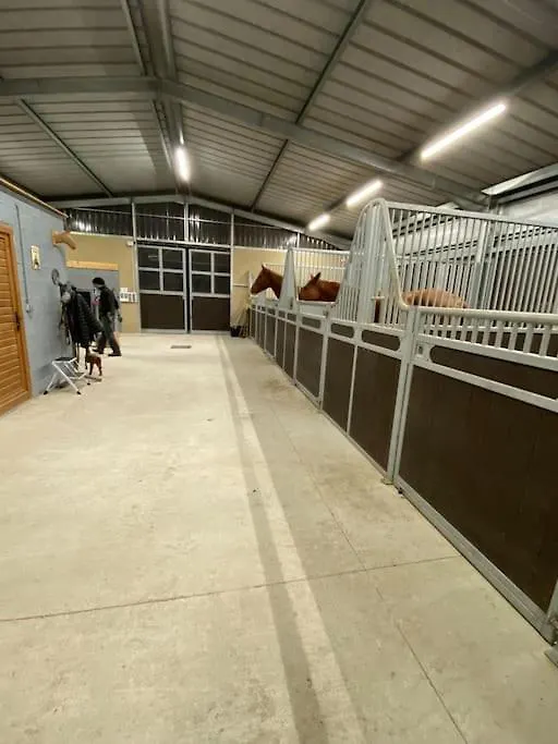 Apartamento Logement Entier De Charme, Gite Equestre Gers Flamarens
