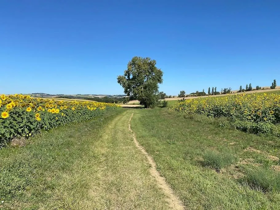 Apartamento Logement Entier De Charme, Gite Equestre Gers Flamarens